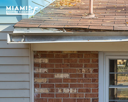 Broken Gutter and Damaged Roof