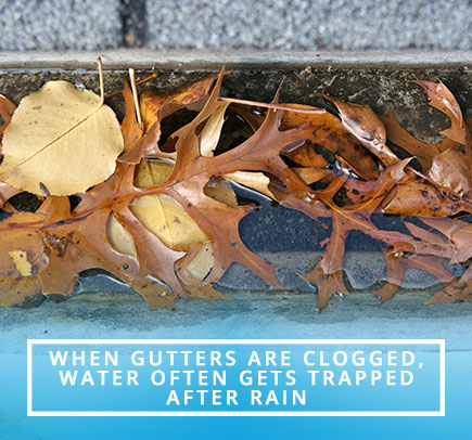 Gutter Clogged With Water