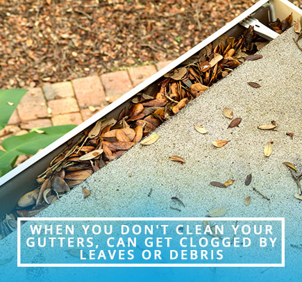 Gutter Clogged by Debris and Leaves
