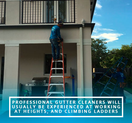 Rain Gutter Cleaning Services
