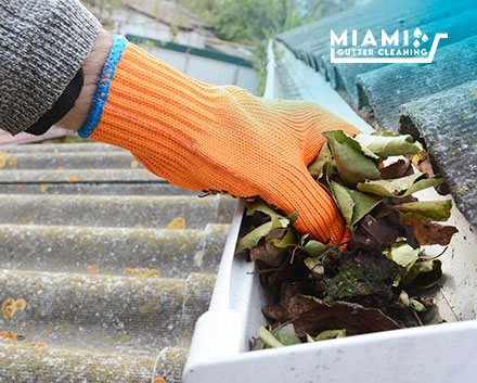 Rain Gutter Cleaning