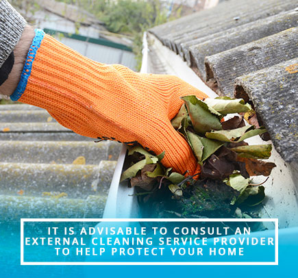 Rain Gutter Cleaning Service