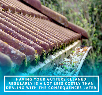 How Gutter Cleaning Saves You Money?