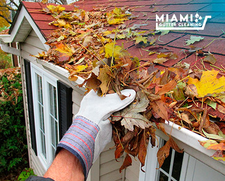 How Often Should Gutters Be Cleaned in Florida