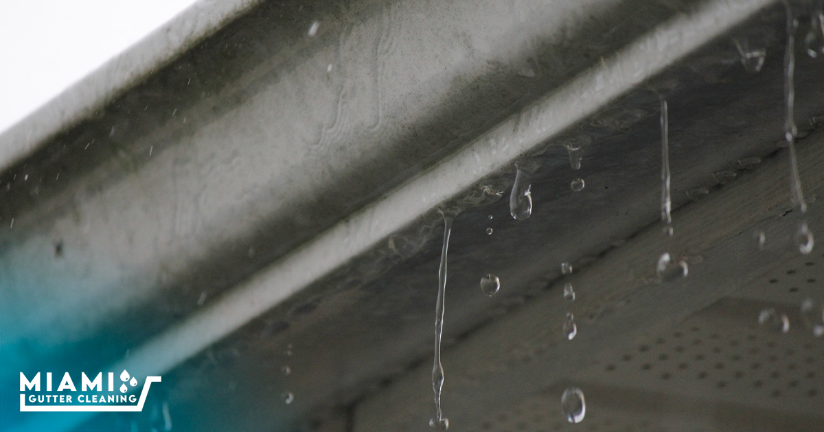 TOP 10 BEST Gutter Cleaning Service in Miami, FL - Yelp