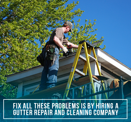 Technician Cleaning and Unclogging Rain Gutters