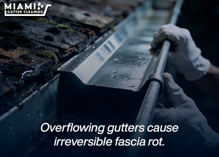 The Hidden Danger of Miami Gutter Cleaning