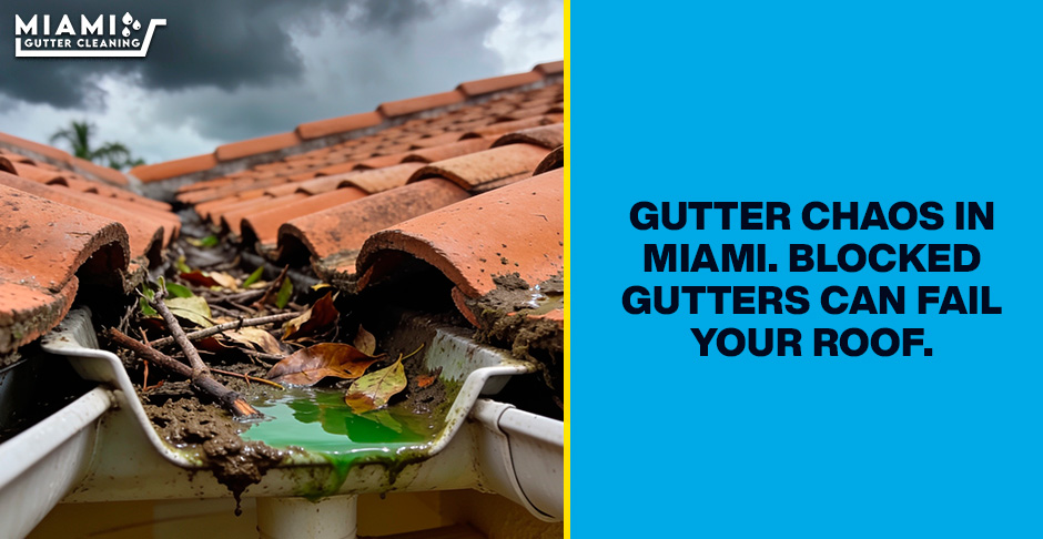 Miami Gutter Cleaning: Fast Debris Removal to Prevent Roof Water Damage