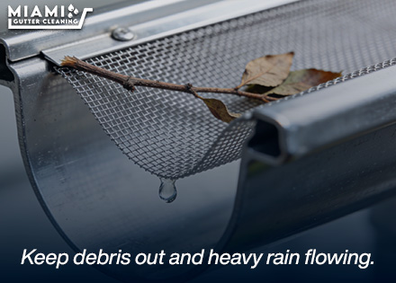 Micro-Mesh Leaf Guards