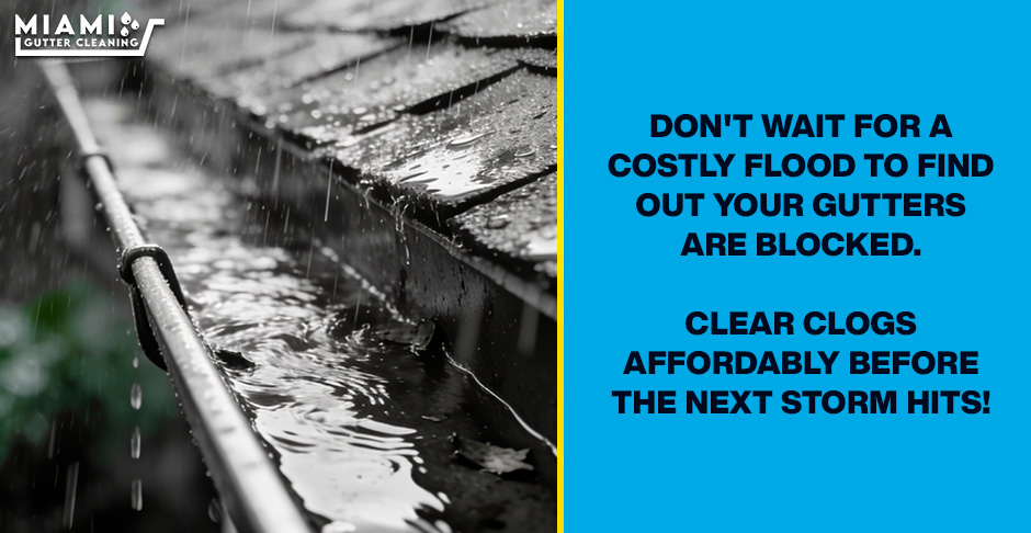 Affordable Rain Gutter Cleaning in Miami: Clear Clogs Before the Next Storm