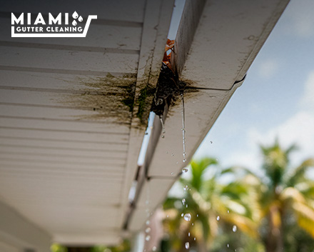 Gutter Pulling Away Need A Fast Rain Gutter Repair Services in Miami