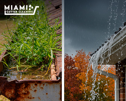A side-by-side comparison. Left side shows a neglected gutter full of growing weeds and stagnant water. Right side shows a spotless, pristine gutter system during a heavy rain shower.