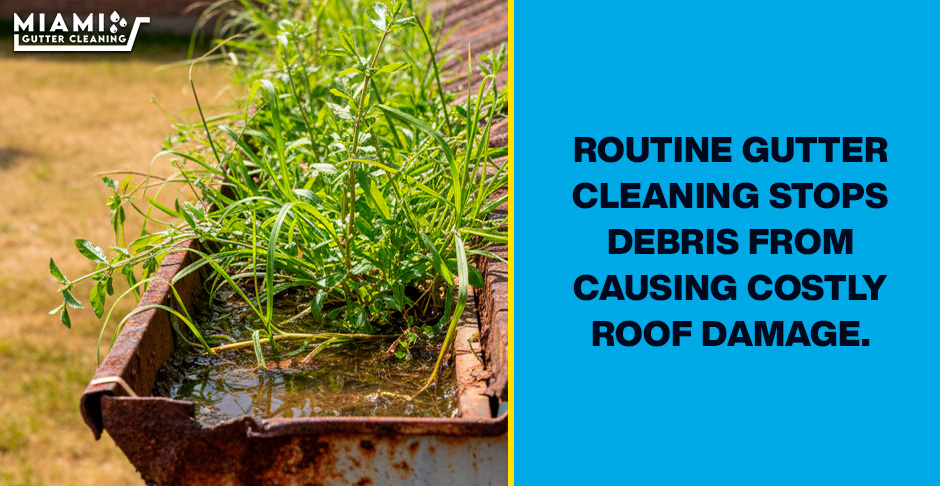 A side-by-side comparison. Left side shows a neglected gutter full of growing weeds and stagnant water. Right side shows a spotless, pristine gutter system during a heavy rain shower.