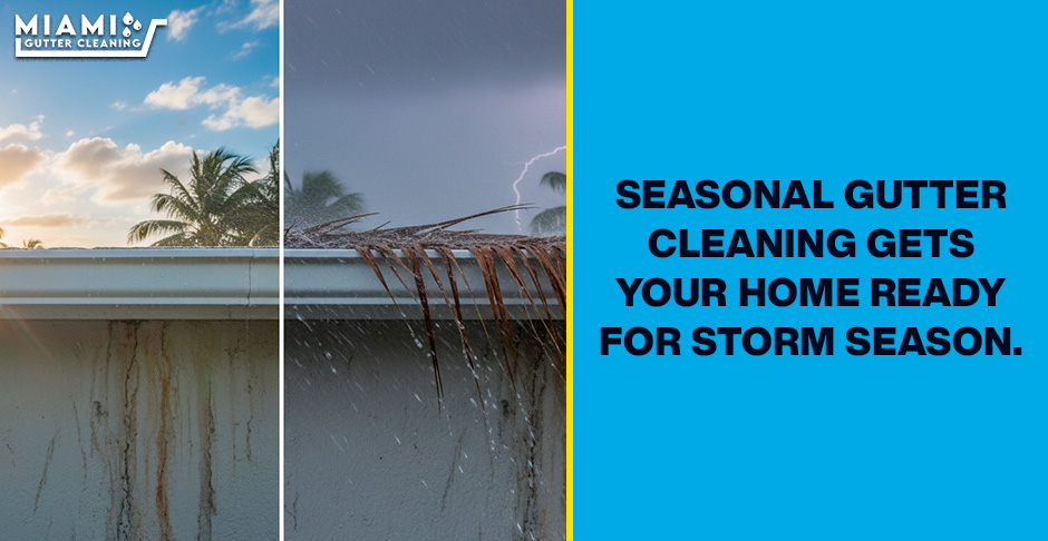 Seasonal Rain Gutter Cleaning: The Smart Homeowner's Guide to Scheduled Upkeep