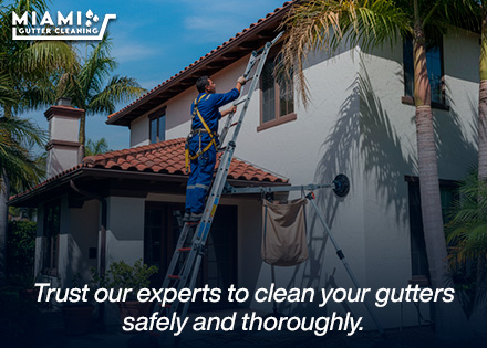 Expert Seasonal Execution by Miami Rain Gutters Maintenance Division