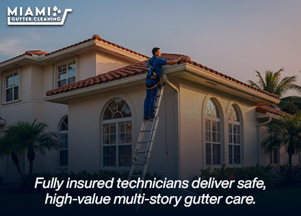 A uniformed technician from our maintenance division safely positioned on a stabilized ladder with harness gear, servicing a two-story home's high gutters.