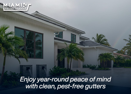 A wide, clean shot of a Miami home's exterior with dry fascia boards and clear gutters flowing smoothly during a light rain shower.