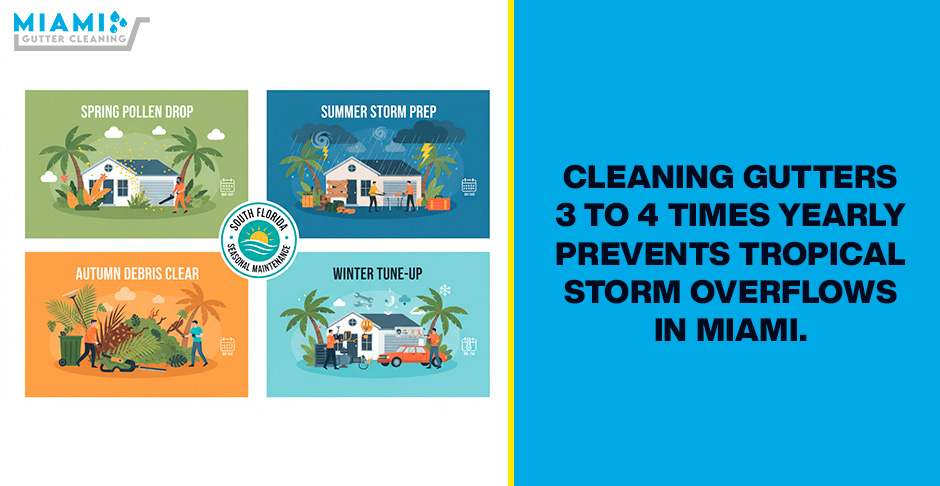How Often Should You Clean Gutters in South Florida? (It's Not What You Think)