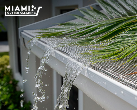 Do Gutter Guards Work in Heavy Tropical Rains? Micro-Mesh Test in Miami