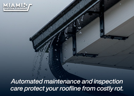 A clean shot of a freshly painted fascia board with a perfectly aligned gutter diverting water smoothly during rain.