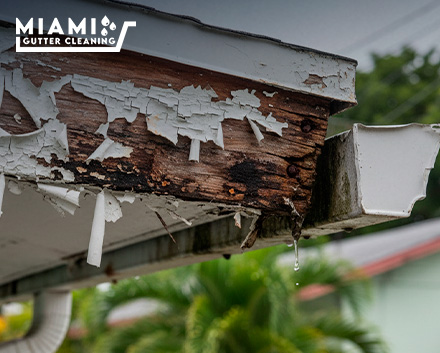 Visual: Close-up shot showing peeling paint and dark water stains on a wooden fascia board behind a sagging gutter channel.